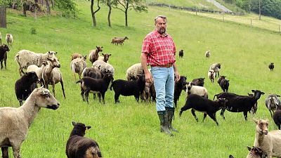 Smart Farm - prawdziwie nierealny pomocnik Pana Cieślara