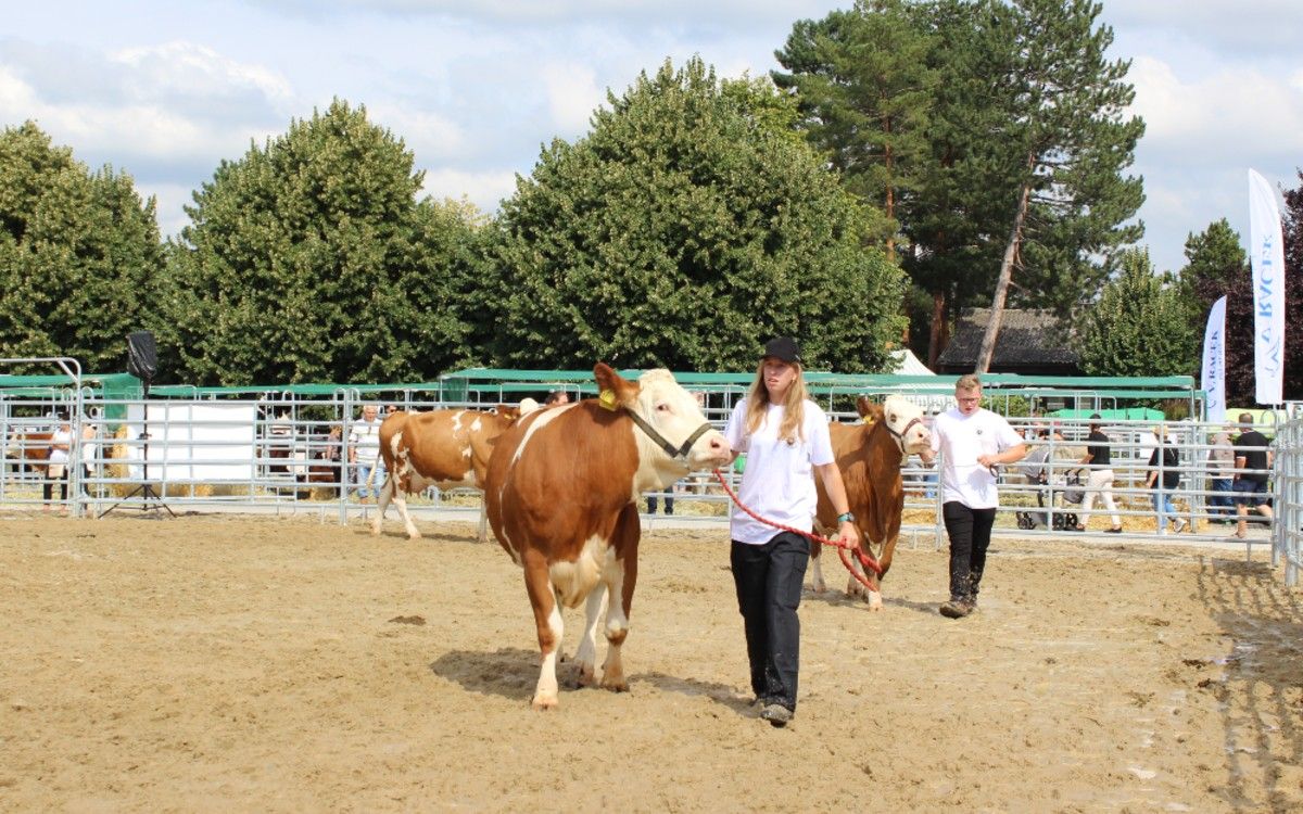 Jak było w Živitelce i co przyniósł największy Międzynarodowy Agrosalon?