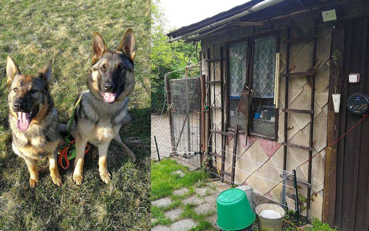 "Ogrodzenie elektryczne doskonale nadaje się również do ochrony kur przed drapieżnikami"

mówi Martin Kuchař
