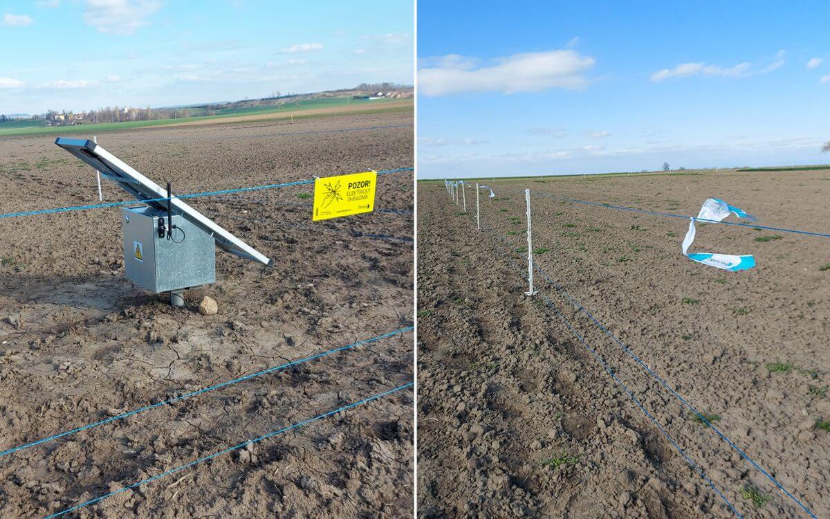 Budowa ogrodzenia elektrycznego na wystawę Nasze pole