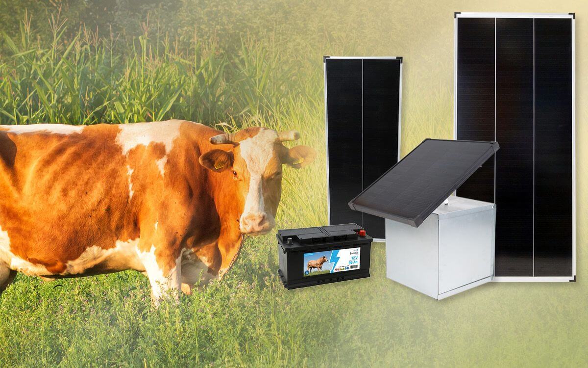 Przyjazne dla środowiska, ekonomiczne i wygodne: systemy solarne do ogrodzeń elektrycznych