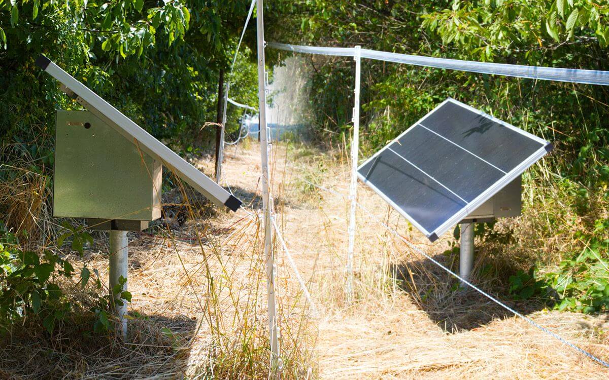 Przewodnik po wyborze systemu solarnego do ogrodzeń elektrycznych