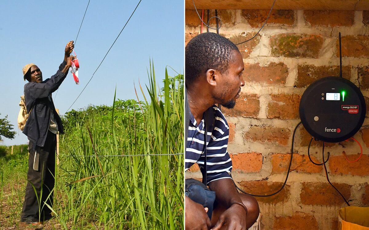 Projekt elektrycznej bariery dla słoni z ogrodzeniem w Afryce