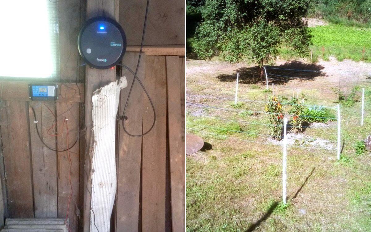 "Używamy ogrodzeń elektrycznych do ochrony naszych upraw przed jeleniami"

mówi Mirek Dokoupil