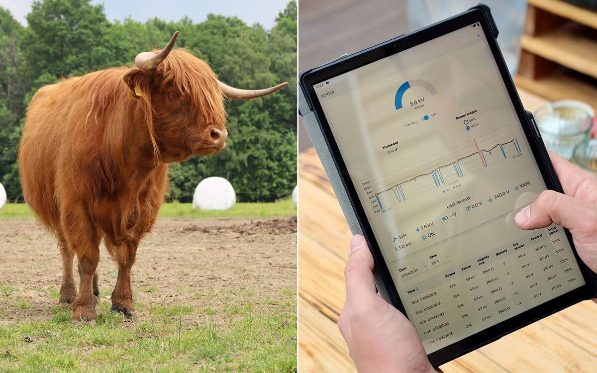 Smart Farm fencee Cloud u podnóża Beskidów na farmie u rodziny Vels