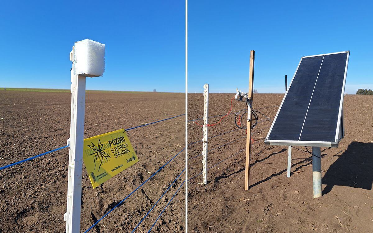 Ogrodzenia elektryczne i zapachowe w akcji: Ochrona upraw na wystawie Naše Pole