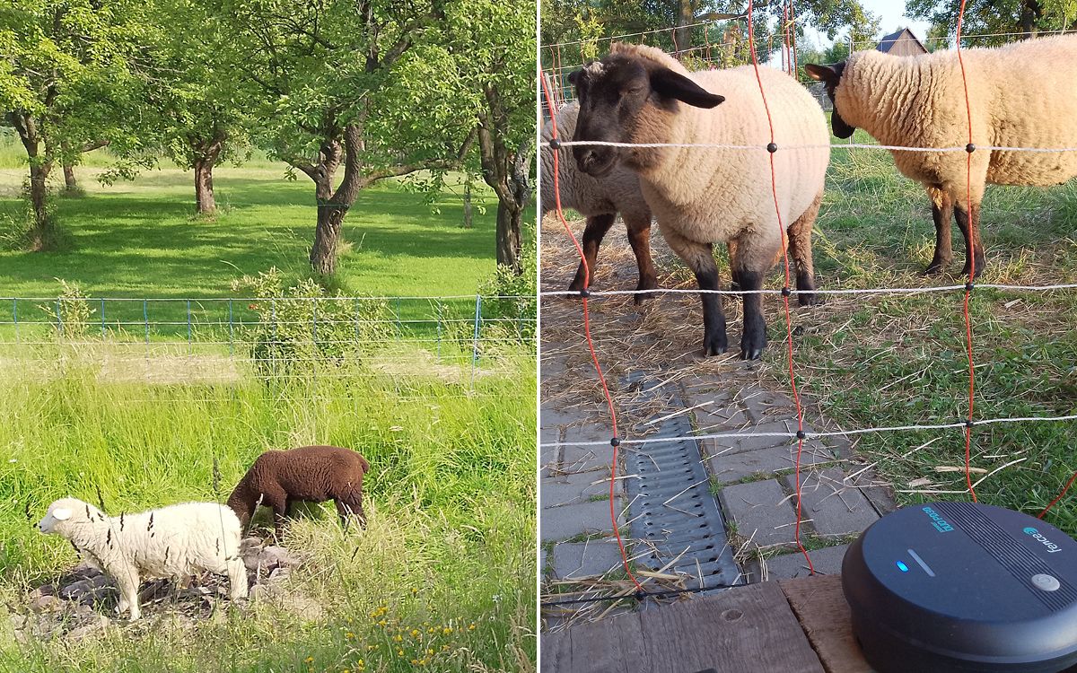 "Szukałem mobilnego elektryzatora elektrycznego ogrodzenia dla owiec na 6 siatek"
mówi pan Nieslanik