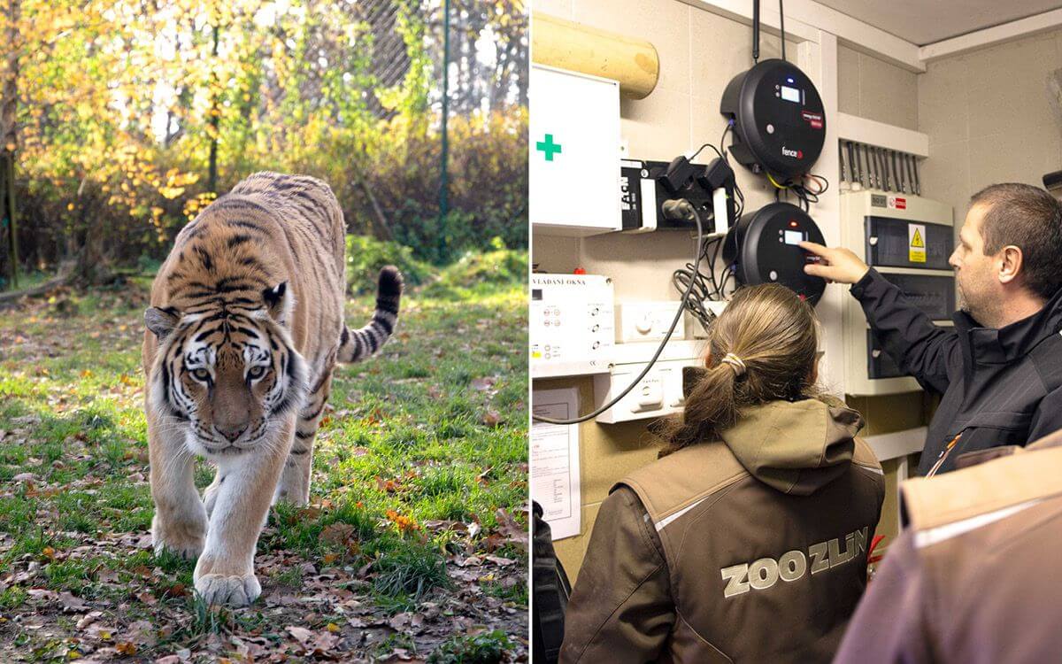 Inteligentna farma w Zoo Zlín I.: Instalacja systemu