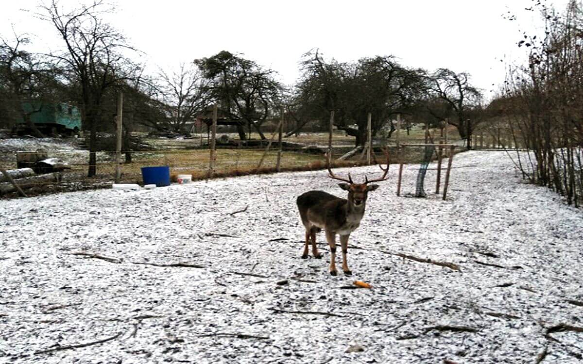 Ucieczka daniela rozwiązana

Pavel Leibner
