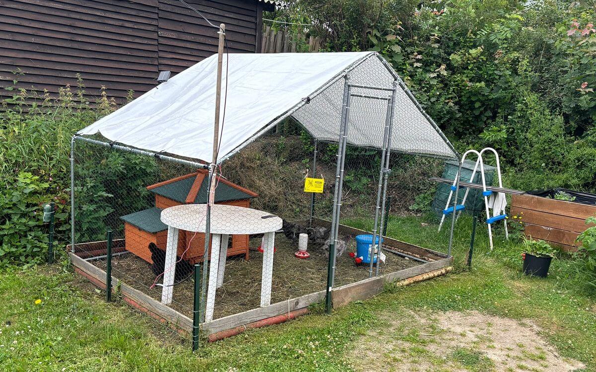 "Ogrodzenie elektryczne jako najlepsza ochrona kur przed szkodnikami"

mówi Míra