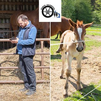 Smart Farm sprawia, że codzienne życie w Coldriver Ranch jest przyjemniejsze
