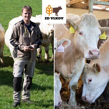 Vlkov Farm pod nadzorem Smart Farm