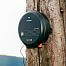 Elektryzator dla elektryczny pastuch fencee power P50