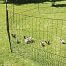 Nieprzewodząca zielona siatka ogrodzeniowa z bramą dla drobiu, długość 24 m, wysokość 112 cm