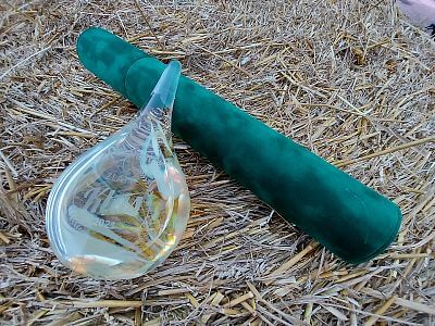 47. doroczny agrosalon Země živitelky - pierwsze miejsce w konkursie Golden Cob 2021