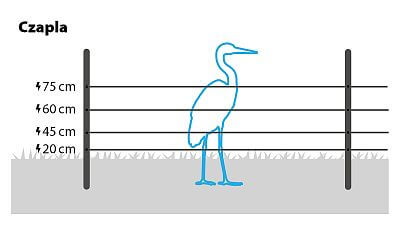 Aby odstraszyć czaple, zainstaluj 4 rzędy przewodów na wysokości 20 cm, 45 cm, 60 cm i 75 cm lub skorzystaj z zestawu odstraszającego czaple.