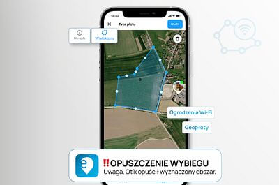 Inteligentny przegląd aktywności konia