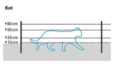 Dla kotów zainstaluj 3 przewody na wysokości 10, 25 i 50 cm.