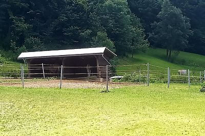 "Ogromną zaletą jest pilot zdalnego sterowania, za pomocą którego mogę włączać i wyłączać ogrodzenie w dowolnym miejscu"

mówi Romana Jonova