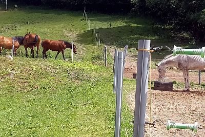 "Ogromną zaletą jest pilot zdalnego sterowania, za pomocą którego mogę włączać i wyłączać ogrodzenie w dowolnym miejscu"

mówi Romana Jonova