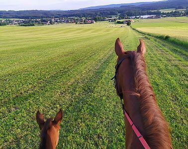"Dzięki generatorowi ogrodzeń mogę zachować spokój przez cały dzień"
mówi zadowolona klientka Daniela