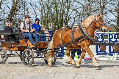 Marka fencee jest złotym partnerem Pucharu Czech w skokach 2025