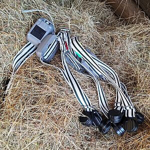 Wirtualne ogrodzenia z obrożą GPS FX10