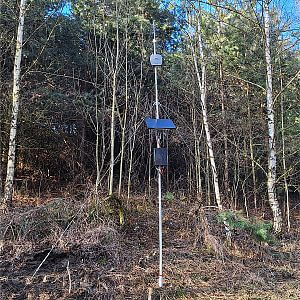 Wirtualne ogrodzenia z obrożą GPS FX10