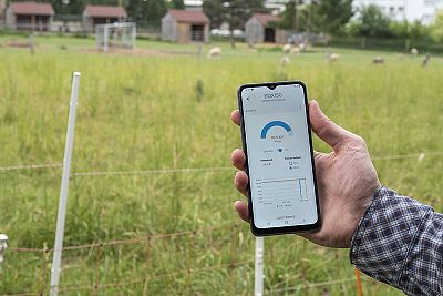 Funkcje aplikacji fencee Cloud