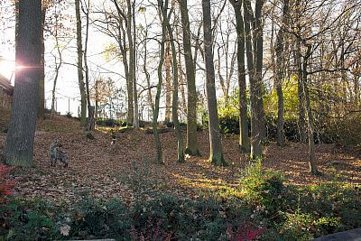 Smart Farm fencee Cloud w Zoo Zlín I.:Instalacja systemu