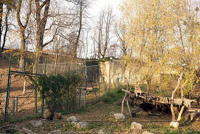 Smart Farm fencee Cloud w Zoo Zlín I.:Instalacja systemu