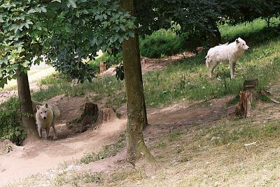 Instalacja Smart Farm fencee Cloud w zoo w Ołomuńcu