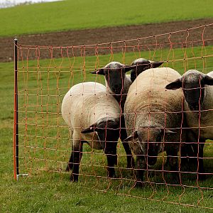 Jak określić jakość sygnału radiowego na danym obszarze?