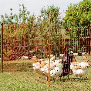 Jak określić jakość sygnału radiowego na danym obszarze?