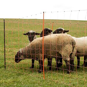 Jak określić jakość sygnału radiowego na danym obszarze?