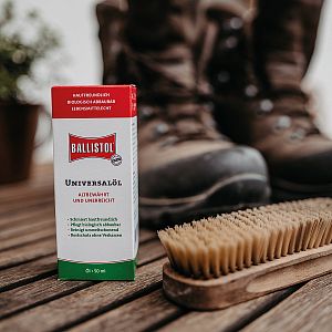 Jak wybrać i zamontować ogrodzenie elektryczne przeciwko dzikom?