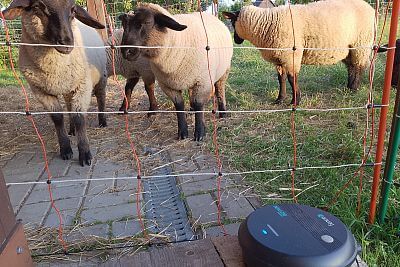 "Szukałem mobilnego elektryzatora elektrycznego ogrodzenia dla owiec na 6 siatek"
mówi pan Nieslanik