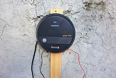 "Musiałem chronić ogrodzenie przed zaryciem przez bydło."

mówi Branislav Škvarka .