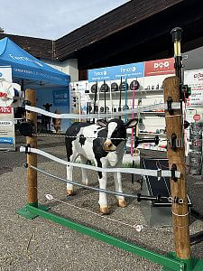 Nagrody w konkursie o Złotą Cobę w jubileuszowym roku 50-lecia Země živitelka