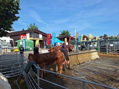 Nagrody w konkursie o Złotą Cobę w jubileuszowym roku 50-lecia Země živitelka