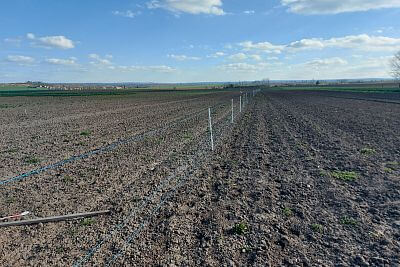 Budowa ogrodzenia elektrycznego na wystawę Nasze pole