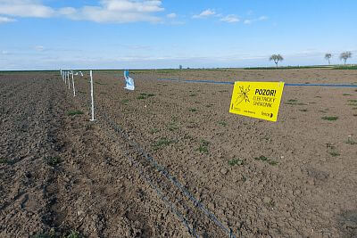 Budowa ogrodzenia elektrycznego na wystawę Nasze pole