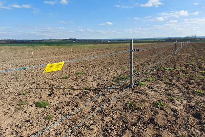 Budowa ogrodzenia elektrycznego na wystawę Nasze pole