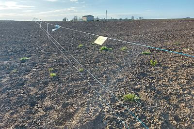 Budowa ogrodzenia elektrycznego na wystawę Nasze pole