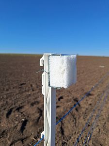 Ogrodzenia elektryczne i zapachowe w akcji: Ochrona upraw na wystawie Naše Pole