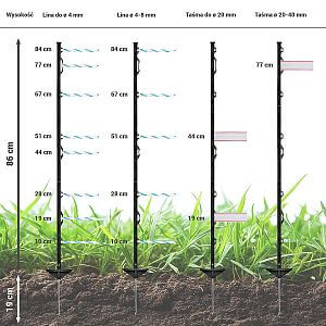 Ogrodzenia elektryczne w ogrodach zoologicznych - unikalny system zabezpieczeń wybiegów