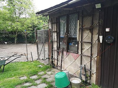 "Ogrodzenie elektryczne doskonale nadaje się również do ochrony kur przed drapieżnikami"

mówi Martin Kuchař
