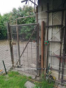 "Ogrodzenie elektryczne doskonale nadaje się również do ochrony kur przed drapieżnikami"

mówi Martin Kuchař
