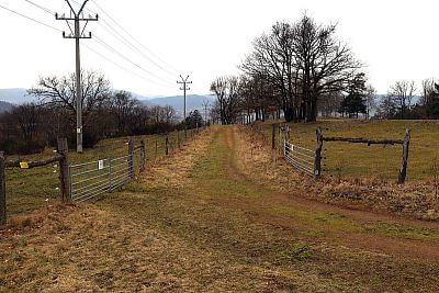 Korzystanie z inteligentnego elektrycznego pastucha w Stowarzyszeniu Hodowców Owiec i Kóz - Smart Farm