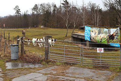 Korzystanie z inteligentnego elektrycznego pastucha w Stowarzyszeniu Hodowców Owiec i Kóz - Smart Farm